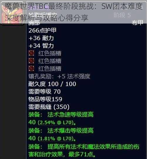 魔兽世界TBC最终阶段挑战：SW团本难度深度解析与攻略心得分享