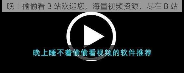 晚上偷偷看 B 站欢迎您，海量视频资源，尽在 B 站