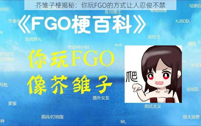 芥雏子梗揭秘：你玩FGO的方式让人忍俊不禁