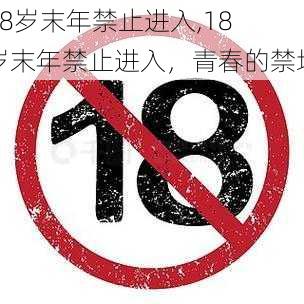 18岁末年禁止进入,18 岁末年禁止进入，青春的禁地