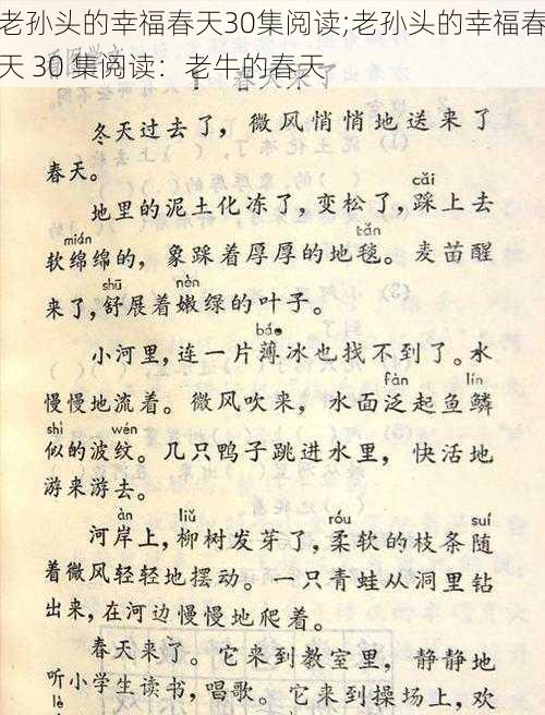 老孙头的幸福春天30集阅读;老孙头的幸福春天 30 集阅读：老牛的春天