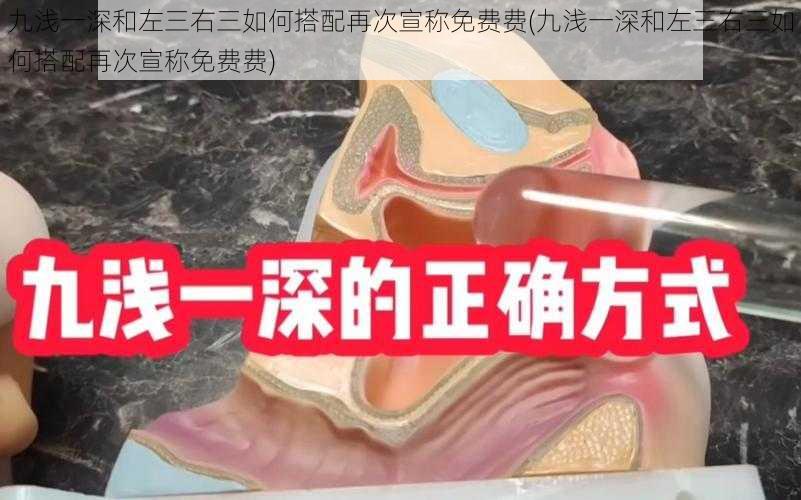 九浅一深和左三右三如何搭配再次宣称免费费(九浅一深和左三右三如何搭配再次宣称免费费)