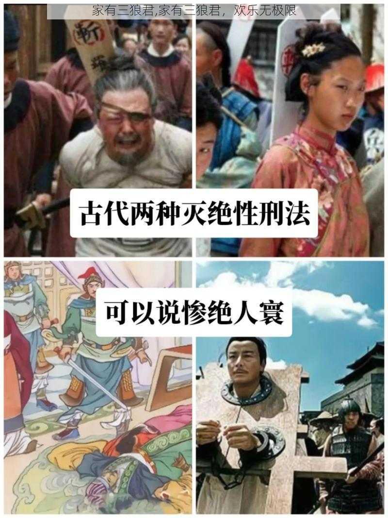 家有三狼君,家有三狼君，欢乐无极限