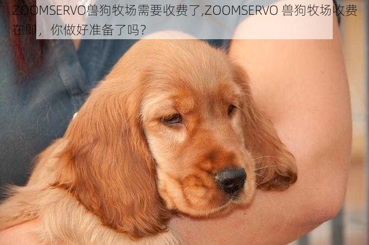 ZOOMSERVO兽狗牧场需要收费了,ZOOMSERVO 兽狗牧场收费在即，你做好准备了吗？