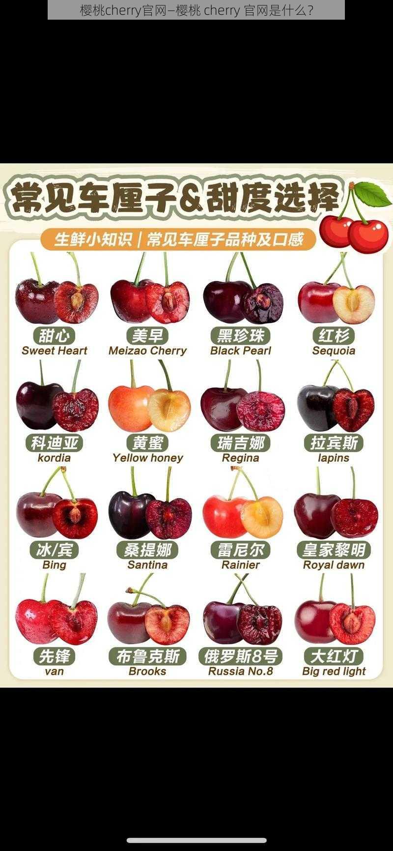 樱桃cherry官网—樱桃 cherry 官网是什么？