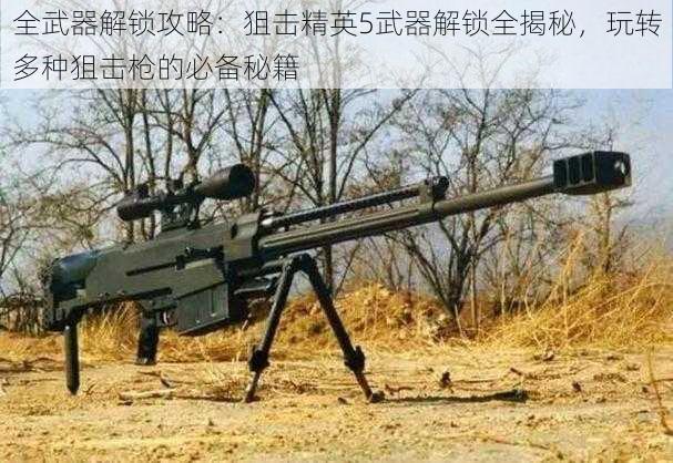 全武器解锁攻略：狙击精英5武器解锁全揭秘，玩转多种狙击枪的必备秘籍