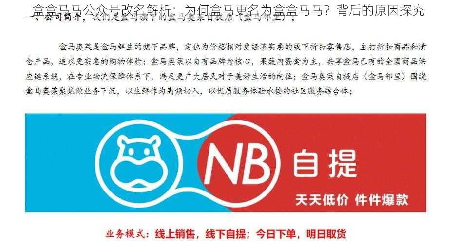 盒盒马马公众号改名解析：为何盒马更名为盒盒马马？背后的原因探究