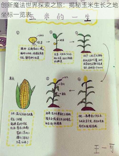 创新魔法世界探索之旅：揭秘玉米生长之地坐标一览表