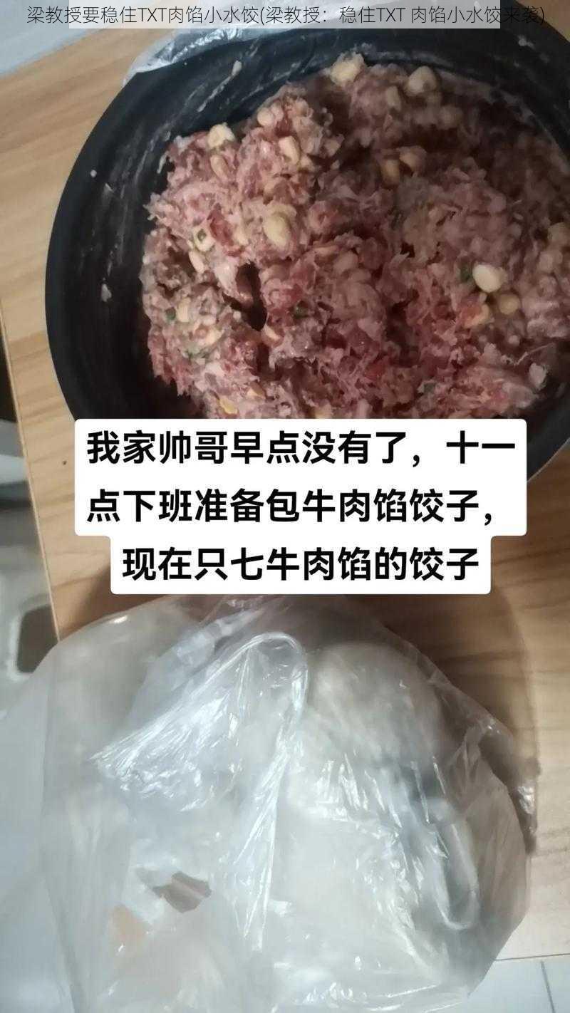 梁教授要稳住TXT肉馅小水饺(梁教授：稳住TXT 肉馅小水饺来袭)