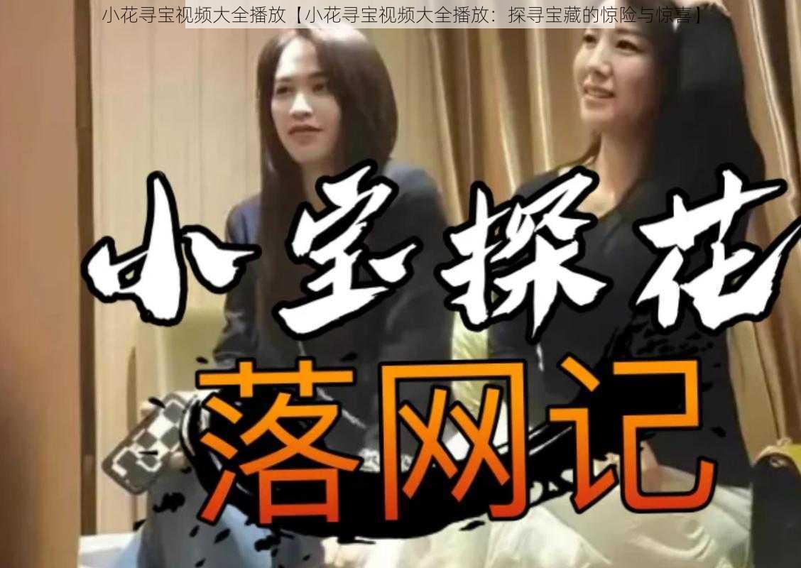 小花寻宝视频大全播放【小花寻宝视频大全播放：探寻宝藏的惊险与惊喜】