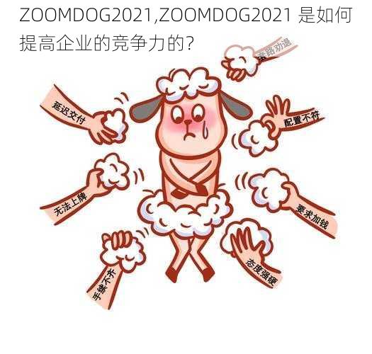 ZOOMDOG2021,ZOOMDOG2021 是如何提高企业的竞争力的？