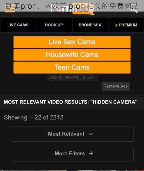 欧美pron、求欧美 pron 相关的免费网站