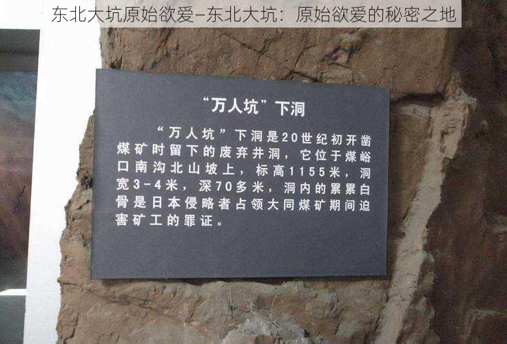 东北大坑原始欲爱—东北大坑：原始欲爱的秘密之地