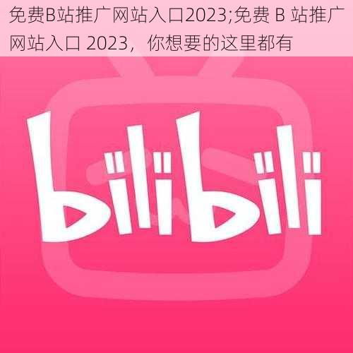 免费B站推广网站入口2023;免费 B 站推广网站入口 2023，你想要的这里都有