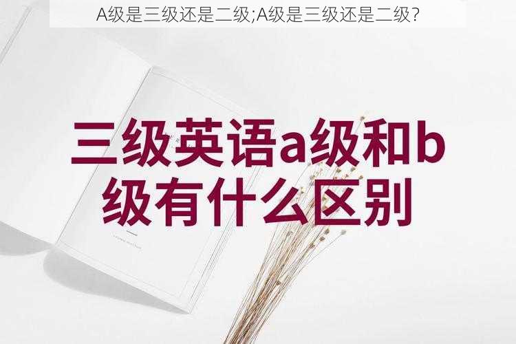 A级是三级还是二级;A级是三级还是二级？