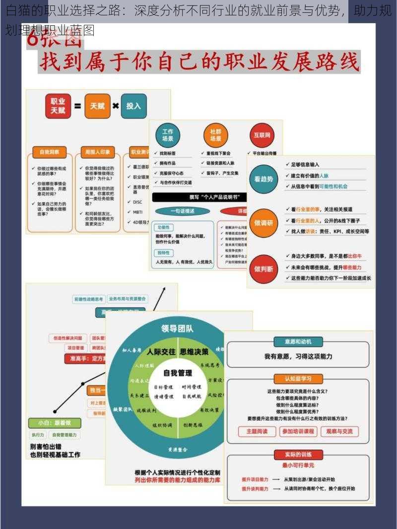 白猫的职业选择之路：深度分析不同行业的就业前景与优势，助力规划理想职业蓝图