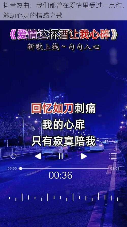 抖音热曲：我们都曾在爱情里受过一点伤，触动心灵的情感之歌