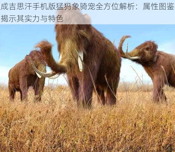 成吉思汗手机版猛犸象骑宠全方位解析：属性图鉴揭示其实力与特色