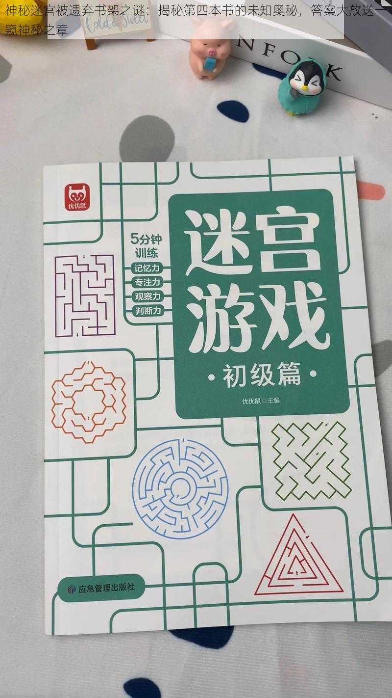 神秘迷宫被遗弃书架之谜：揭秘第四本书的未知奥秘，答案大放送一窥神秘之章