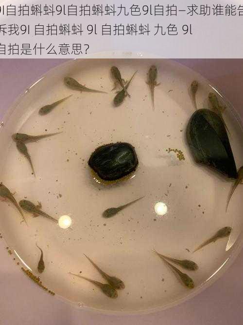 9I自拍蝌蚪9l自拍蝌蚪九色9l自拍—求助谁能告诉我9I 自拍蝌蚪 9l 自拍蝌蚪 九色 9l 自拍是什么意思？