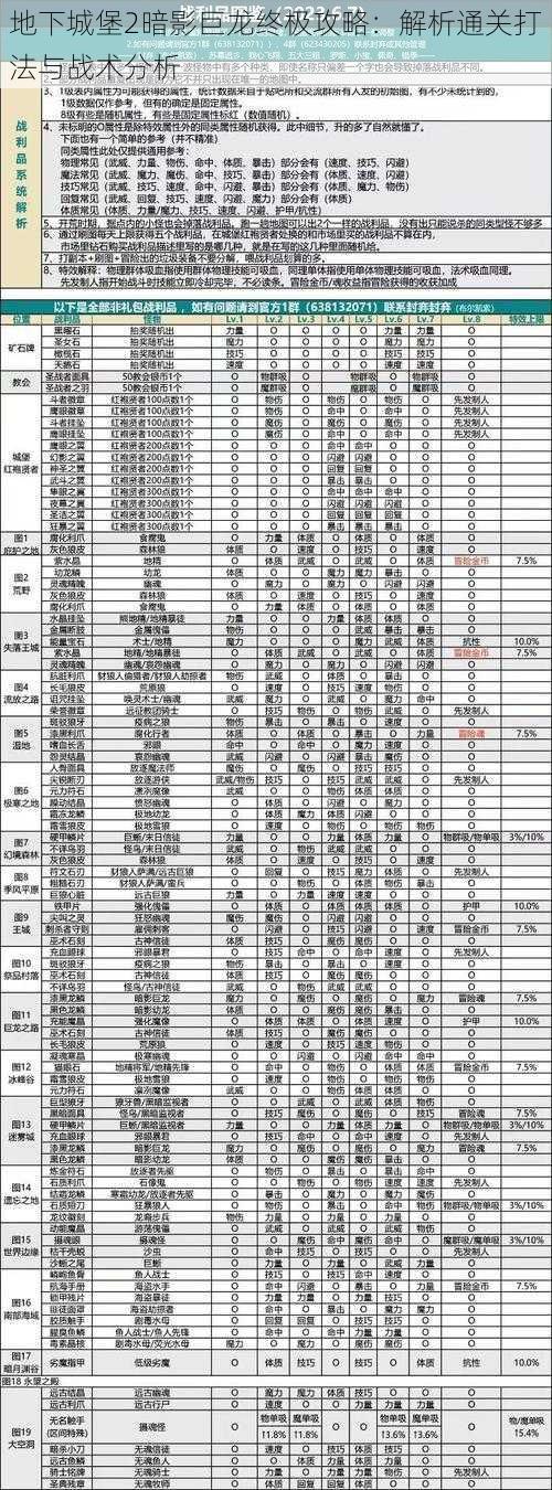 地下城堡2暗影巨龙终极攻略：解析通关打法与战术分析