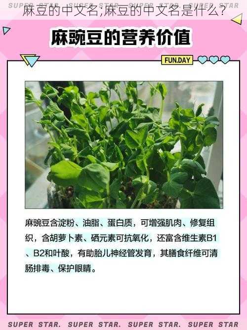 麻豆的中文名;麻豆的中文名是什么？