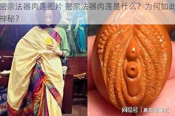 密宗法器肉莲图片 密宗法器肉莲是什么？为何如此神秘？