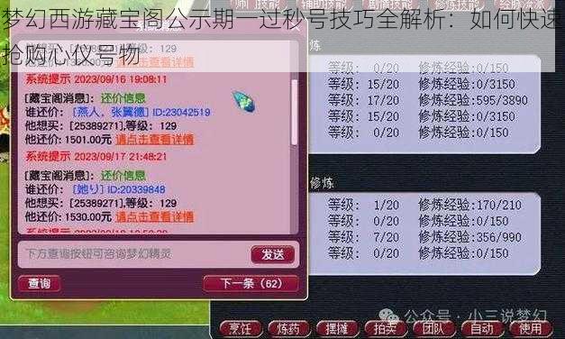 梦幻西游藏宝阁公示期一过秒号技巧全解析：如何快速抢购心仪号物