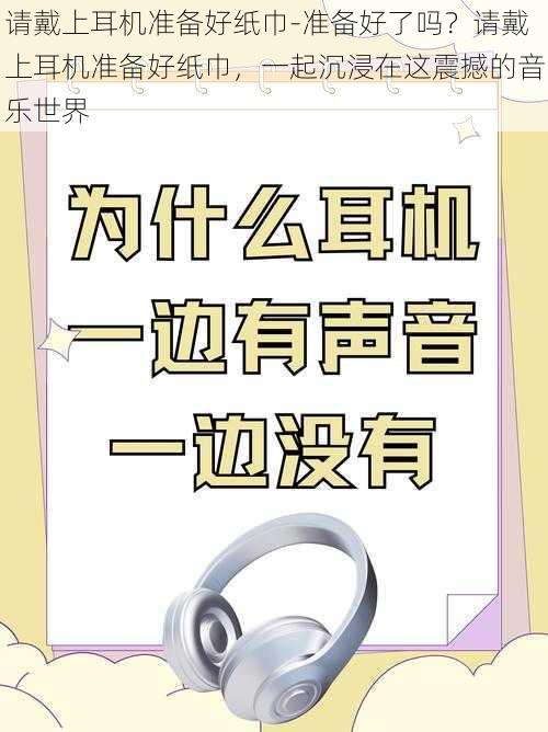 请戴上耳机准备好纸巾-准备好了吗？请戴上耳机准备好纸巾，一起沉浸在这震撼的音乐世界