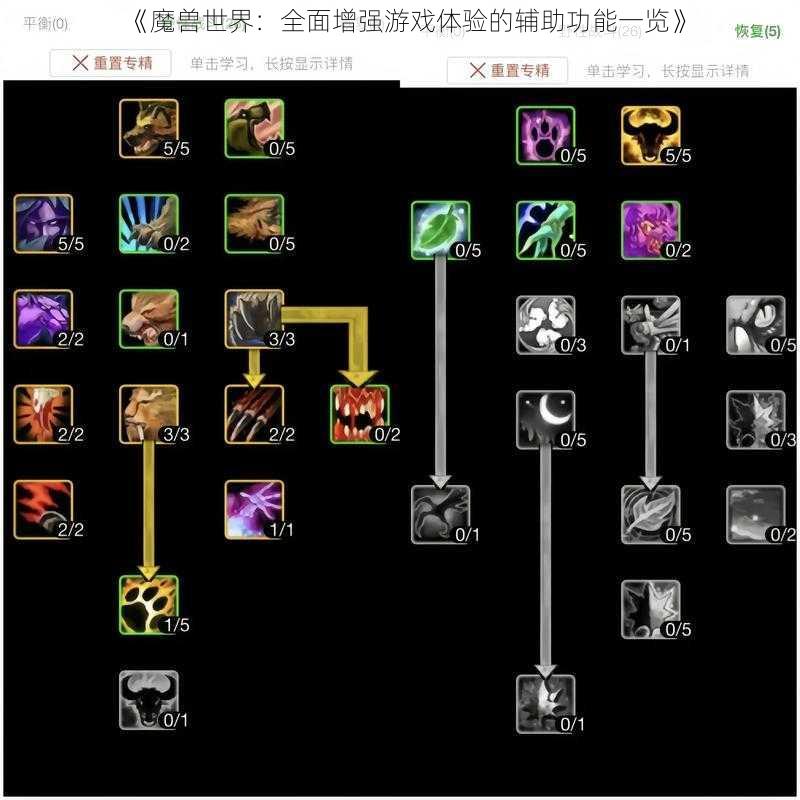 《魔兽世界：全面增强游戏体验的辅助功能一览》