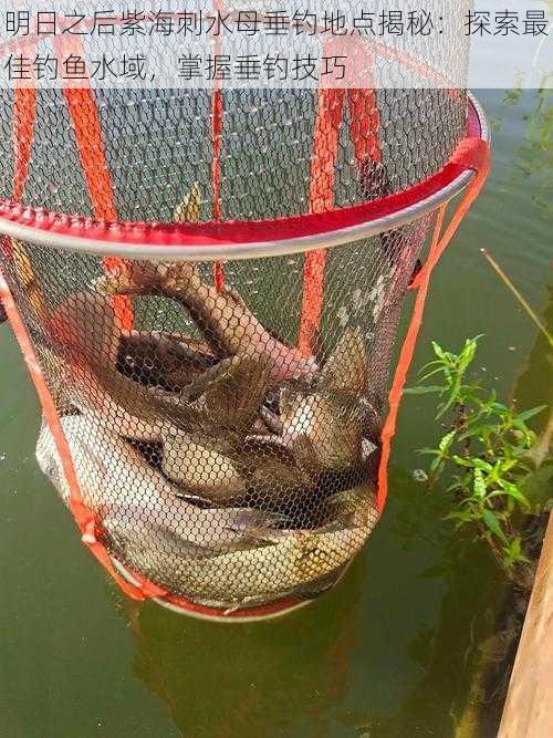 明日之后紫海刺水母垂钓地点揭秘：探索最佳钓鱼水域，掌握垂钓技巧