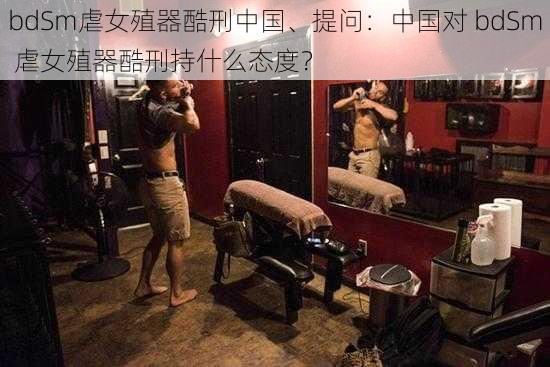 bdSm虐女殖器酷刑中国、提问：中国对 bdSm 虐女殖器酷刑持什么态度？