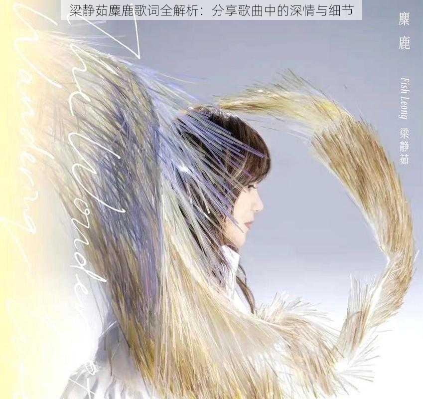 梁静茹麋鹿歌词全解析：分享歌曲中的深情与细节