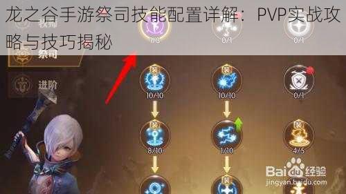 龙之谷手游祭司技能配置详解：PVP实战攻略与技巧揭秘