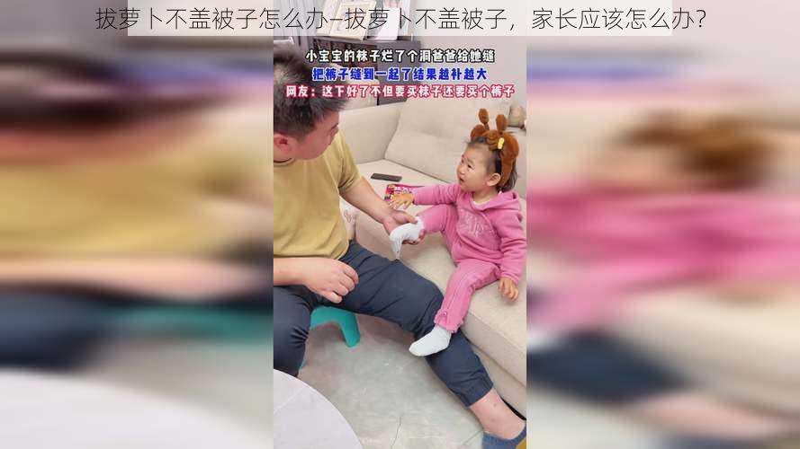 拔萝卜不盖被子怎么办—拔萝卜不盖被子，家长应该怎么办？