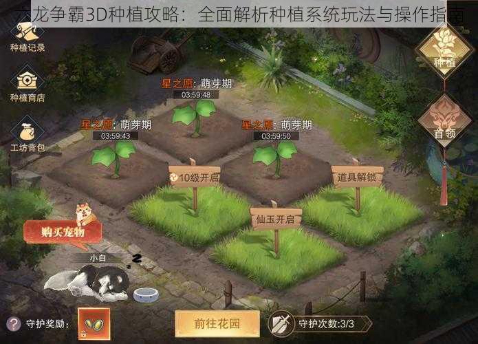 六龙争霸3D种植攻略：全面解析种植系统玩法与操作指南