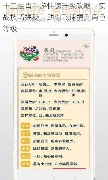 十二生肖手游快速升级攻略：实战技巧揭秘，助你飞速提升角色等级