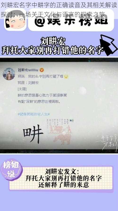 刘畊宏名字中畊字的正确读音及其相关解读探讨：一场关于文化与语言的探索之旅