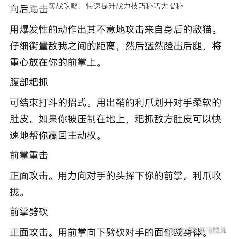 实战攻略：快速提升战力技巧秘籍大揭秘