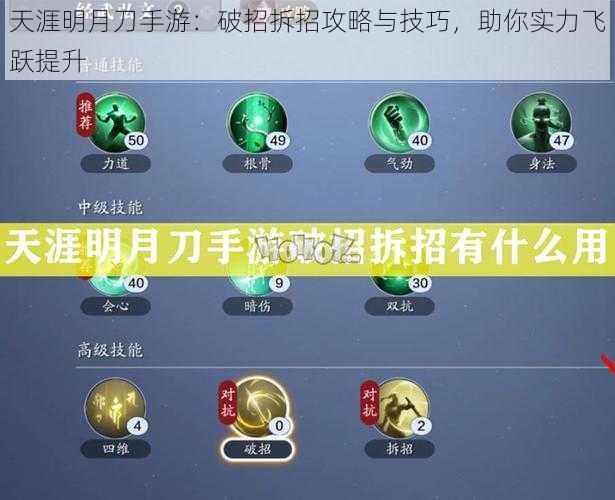 天涯明月刀手游：破招拆招攻略与技巧，助你实力飞跃提升