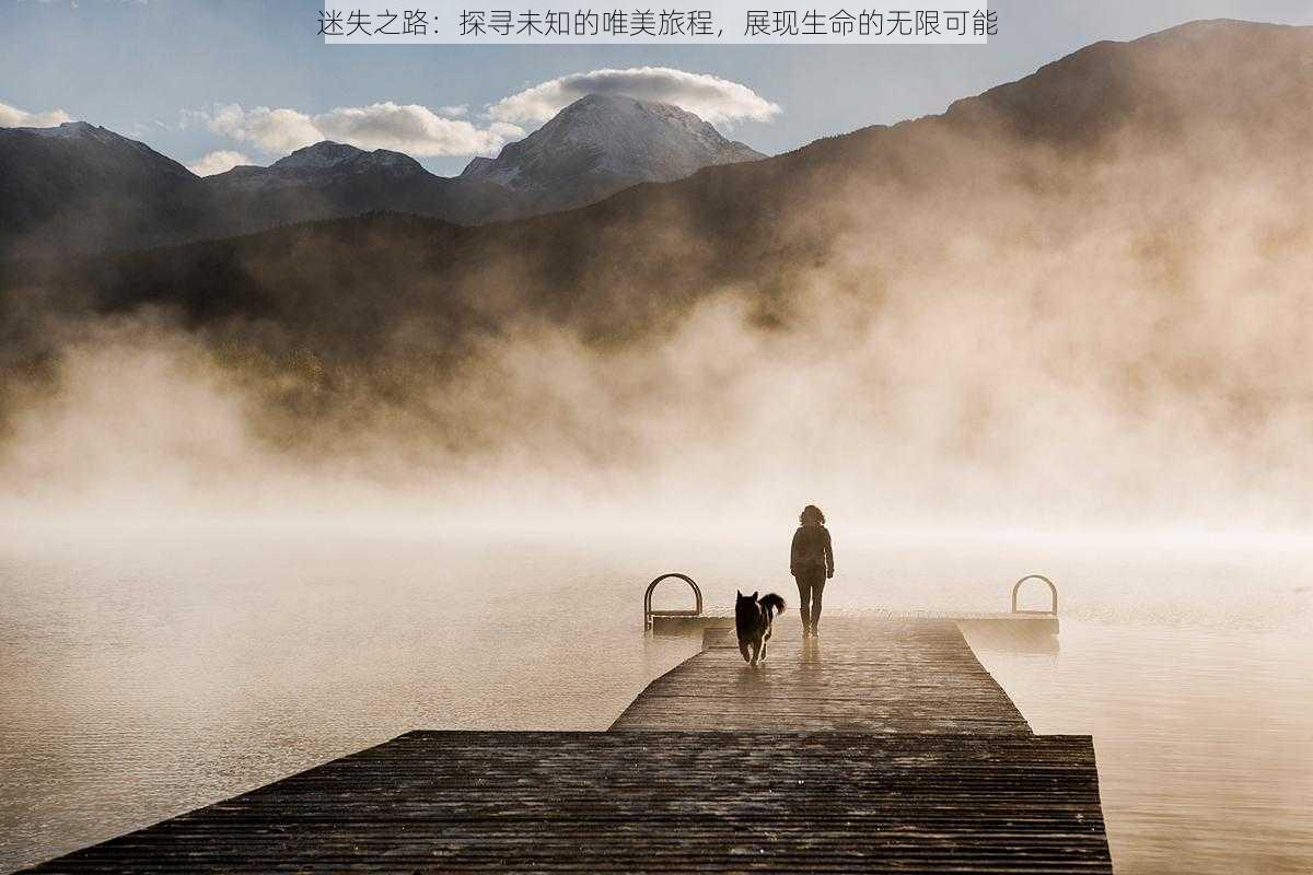 迷失之路：探寻未知的唯美旅程，展现生命的无限可能