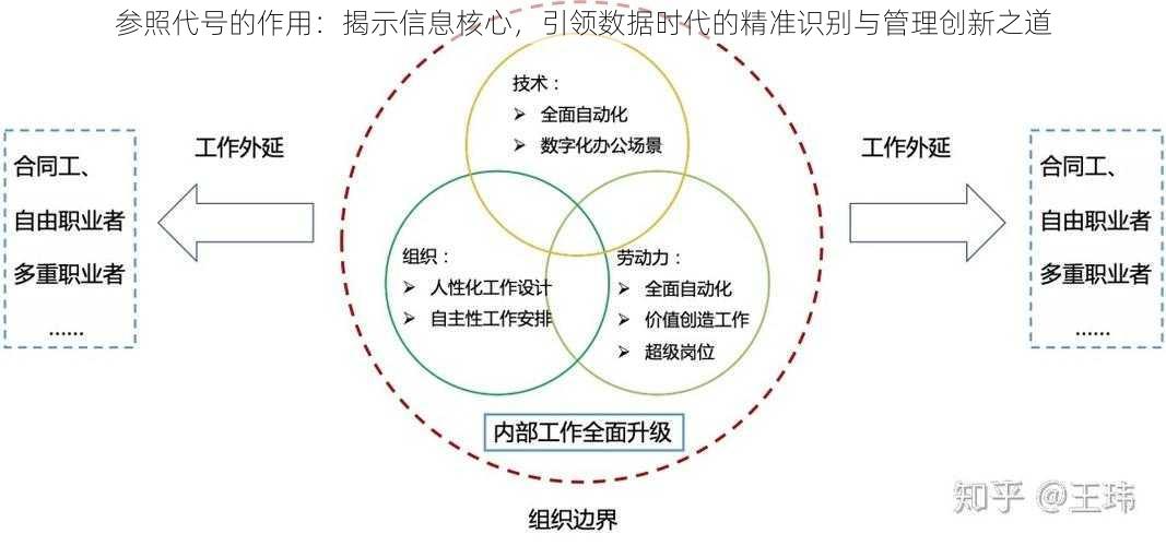 参照代号的作用：揭示信息核心，引领数据时代的精准识别与管理创新之道