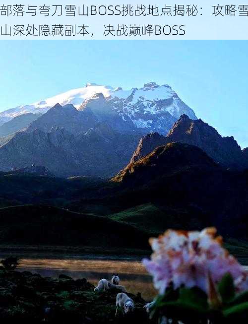 部落与弯刀雪山BOSS挑战地点揭秘：攻略雪山深处隐藏副本，决战巅峰BOSS