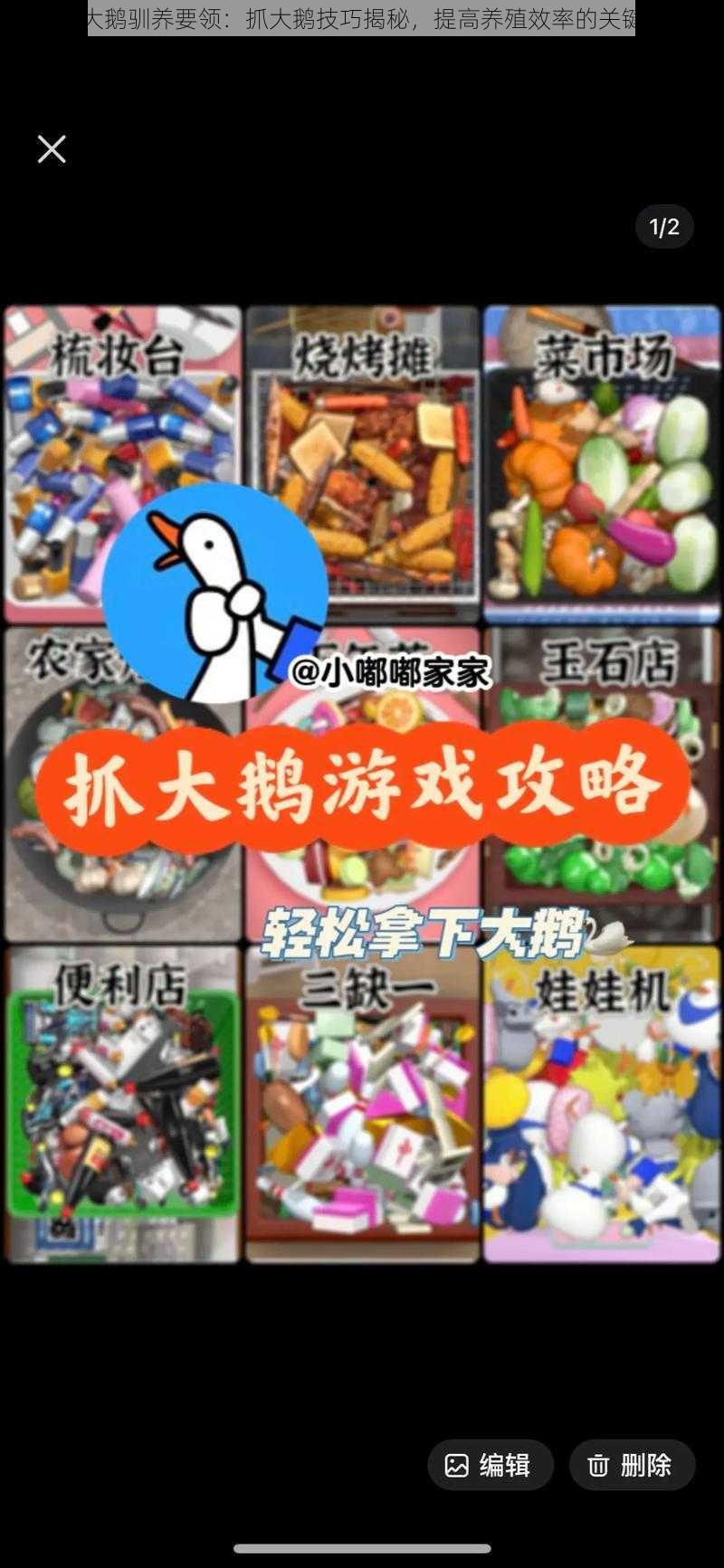 掌握大鹅驯养要领：抓大鹅技巧揭秘，提高养殖效率的关键所在