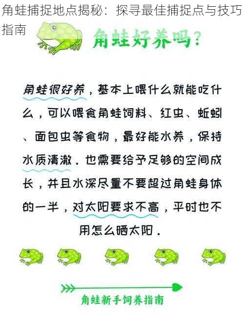 角蛙捕捉地点揭秘：探寻最佳捕捉点与技巧指南