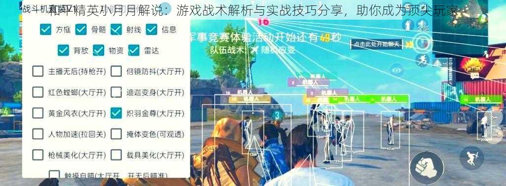 和平精英小月月解说：游戏战术解析与实战技巧分享，助你成为顶尖玩家