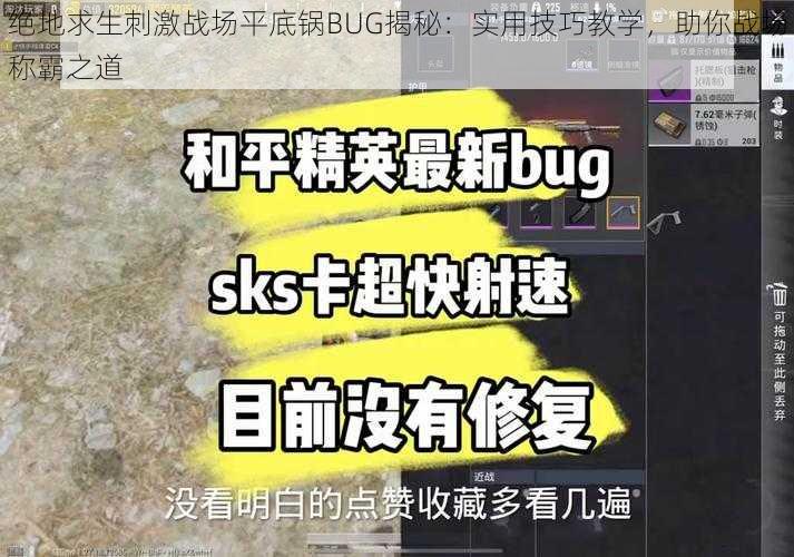 绝地求生刺激战场平底锅BUG揭秘：实用技巧教学，助你战场称霸之道